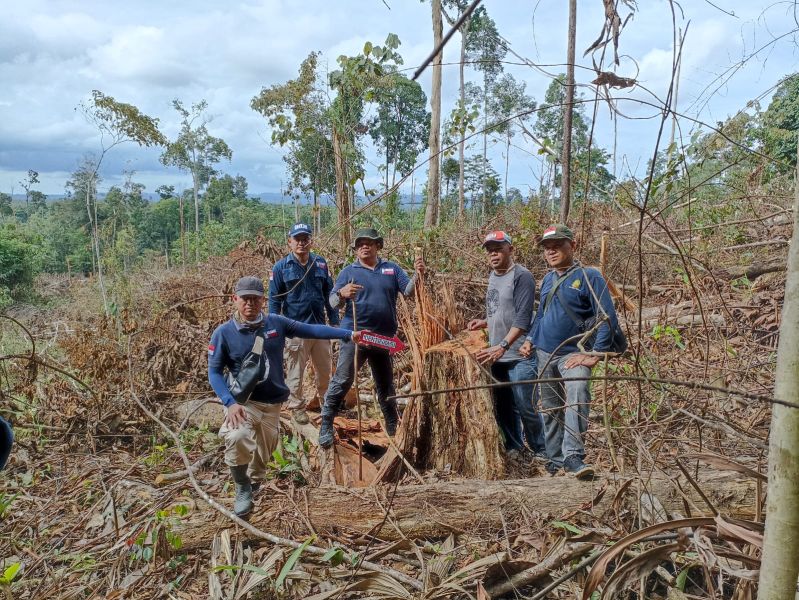 Perambah Kawasan TNBT Ditangkap Saat Beraksi