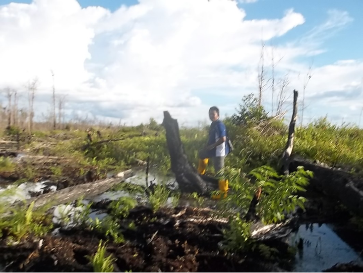 PK Ditolak MA, Perusahaan Sawit Harus Bayar Denda Rp 342 M