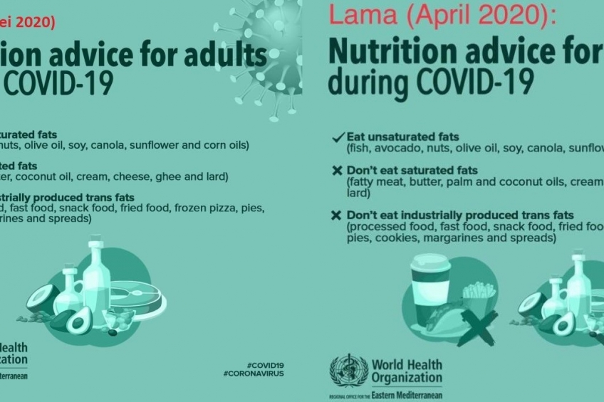 Carut Marut Peremajaan Sawit Rakyat di Kabupaten Bengkalis