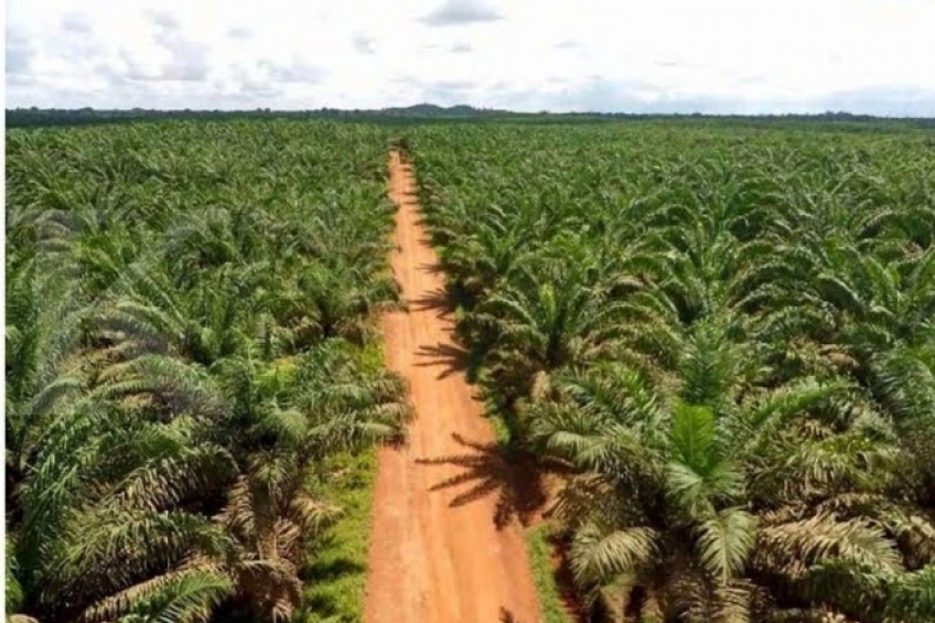 Tiga Jam Mengulik PSR