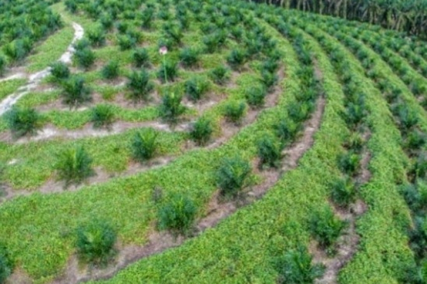 PSR Ala Siput di Riau