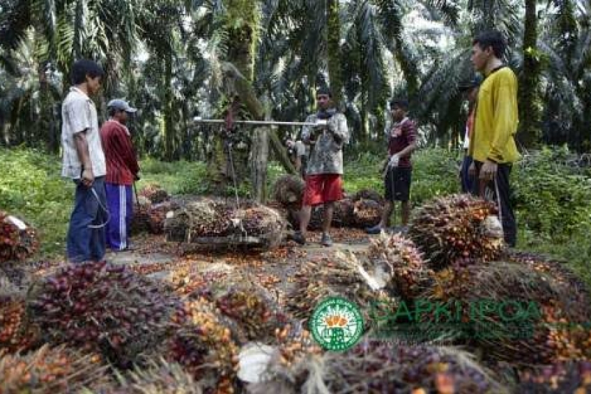 Geliat Bisnis Minyak Sawit 2021