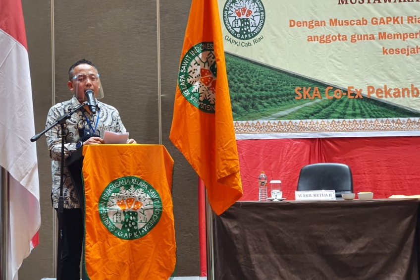 Malaysia jadi Kiblat Kelapa Sawit Dunia, Kenapa Bukan Indonesia?