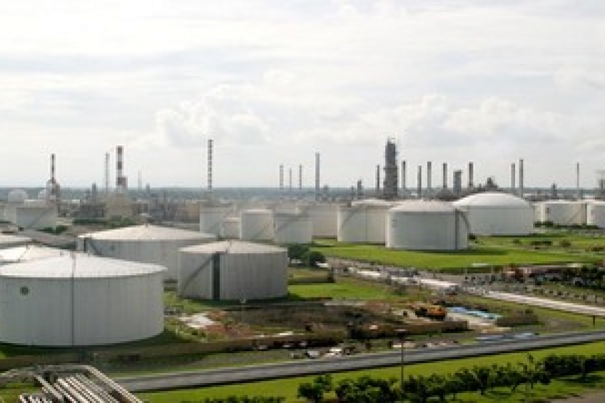 Luar Biasa! Tankos Sawit Bisa Jadi Layar Elektronik 