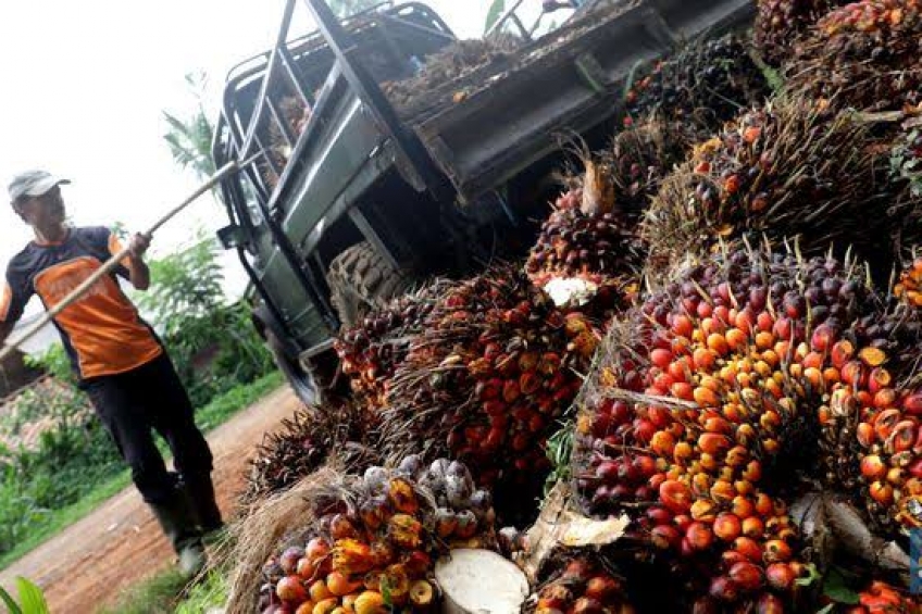 Gara-gara BBM, Senator Asal Riau Ini Terombang-Ambing di Perairan Meranti