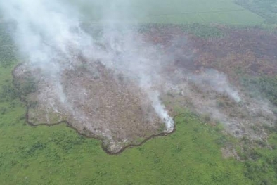 Mulai Februari, Pemkab Siak Tetapkan Status Siaga Darurat Karhutla 