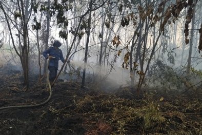 Api Kembali Muncul Dari Lahan yang Sama di Mempura