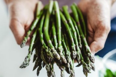 Begini Cara Menanam Asparagus di Rumah
