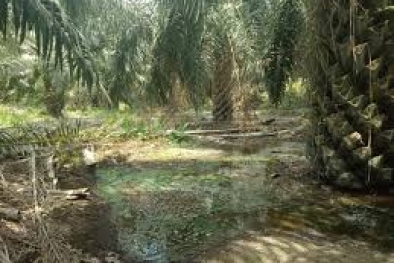 DPRD Siak Ingatkan PT TKWL Dua Hal Ini