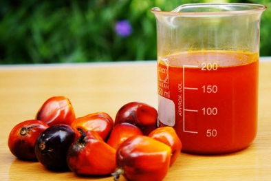 Ondeh Mak! Harga CPO Makin Terjun, Awal Pekan Sudah Minus 2%