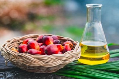 Benarkah Minya Sawit Buruk Untuk Kesehatan?