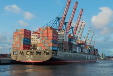 UU Kemitraan Ekonomi Disetujui DPR, IE-CEPA Bakal Genjot Ekspor Sawit Indonesia