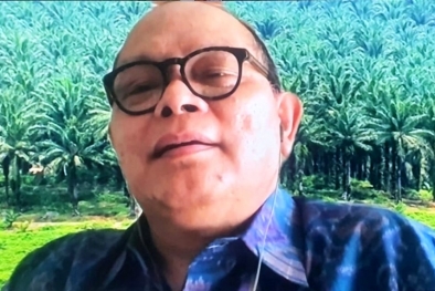 Kalau Ini Dilakukan, Sawit Rakyat Akan Unggul Dari Malaysia