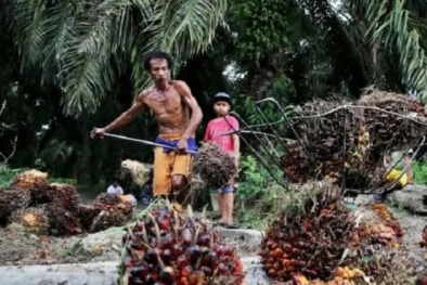 Wacana Bangun 1.000 Rumah untuk Buruh Sawit di Riau