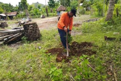 Protes ke Bupati, Warga Malang Cabut Sawit, Tanam Buah