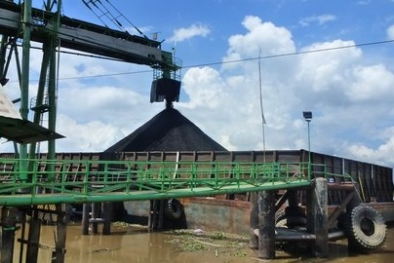 Harga Batubara Meroket, Memanasnya Perang Dagang Australia-China