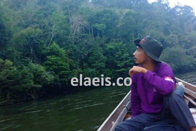 Cerita Perut dan Hutan Alam