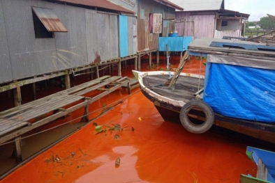 Sungai Mahakam Tercemar Akibat Tumpahan Minyak Sawit, Jatam Minta Pemerintah Investigasi