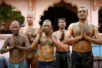Gunakan Kotoran Sapi Lawan Covid, Dokter : Bahaya!