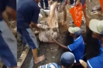 Dikubur Bertahun-tahun, Jenazah Ditemukan Utuh dan Wangi