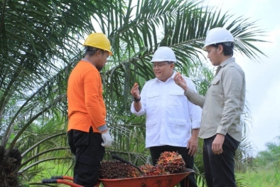 Dorong Petani Bikin Pabrik CPO, Dodi Ingin Muba Jadi Pioner Sawit