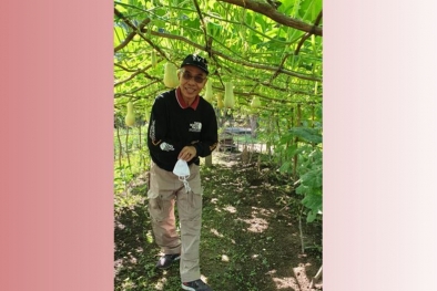 Katak Parit dan Katak Laut