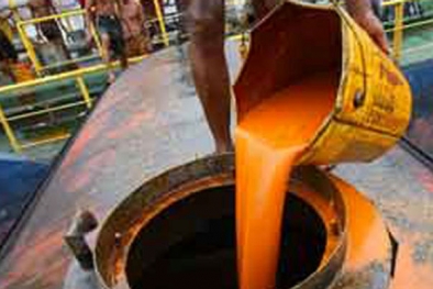 Harga CPO di Jambi turun Rp285 /kg, TBS Mengekor