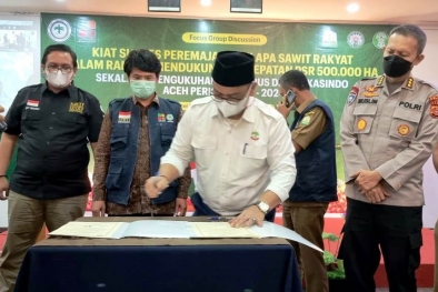 Dampak Sawit Petani Aceh Belum 