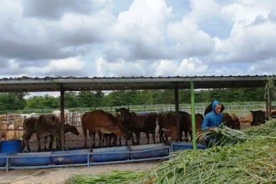 Menguji Potensi Bisnis