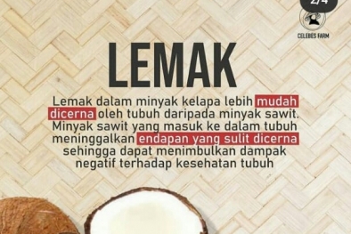 Sawit Kembali Dihantam Kawan Sekampung