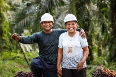 Pengusaha dan Pekerja Harmonis, Daya Saing Sawit Meningkat