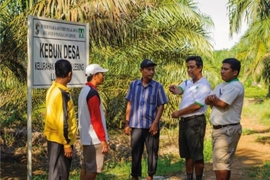 PT Musim Mas Bangun Ribuan Hektar KKPA dan Kebun Kas Desa