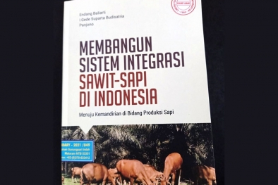 Tumpang-Sari Sawit-Sapi, Untungkah?