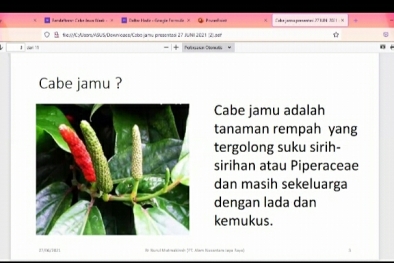 Cabe Jawa Tawarkan Penghasilan Tambahan Buat Petani Sawit