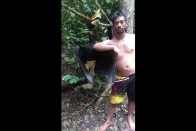 Pamer Burung Langka Hasil Buruan, Lajang ini Ditangkap Polisi