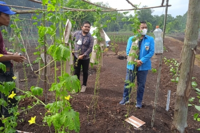 Pemuda Diajak Jadi Petani Milenial