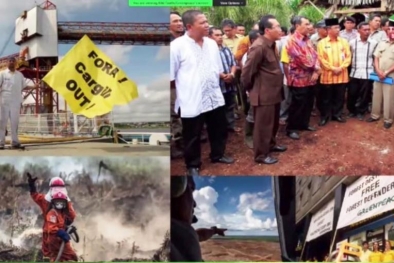 Begini Nasib Pekebun Sawit Indonesia Versi Greenpeace