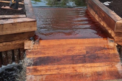 Antisipasi Kemarau, Pokmas Binaan BRGM di Riau Bangun Sekat Kanal