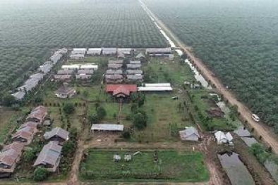 Duit Akuisisi Kebun Sawit Diduga Dikorupsi