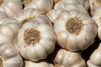 Benarkah Bawang Putih Bisa Menurunkan Darah Tinggi?