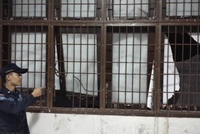 Tusuk Sipir, 9 Napi Berhasil Kabur