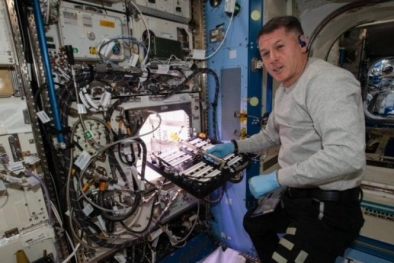 Cabai Dicoba Ditanam di Luar Angkasa