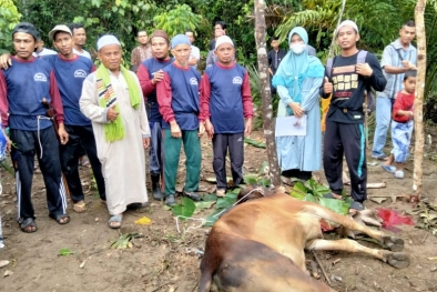 Hasil Berkebun, Lajang Ini Sumbang Dua Hewan Kurban