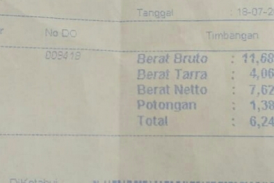 TBS Dicuri Terang-Terangan, Tapi Belum Ada Tindakan