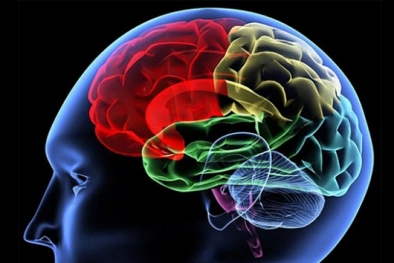 Ahli Nutrisi AS Sebut Sawit Sehatkan Otak