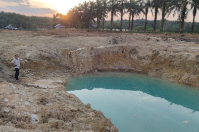 Petani Ini Buktikan Sawit Tak Rakus Air