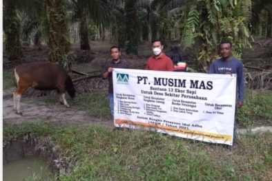 Belasan Desa di Pelalawan Dapat Sapi Kurban dari Perusahaan