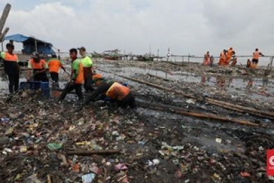 Perairan Pari Dicemari Sampah Plastik dan Styrofoam