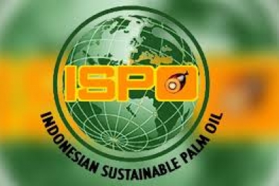 Logo ISPO Bisa Dicantumkan di Kebun, Tangki, dan Produk Sawit