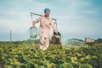 Nilai Tukar Petani Riau Alami Penurunan Terbesar